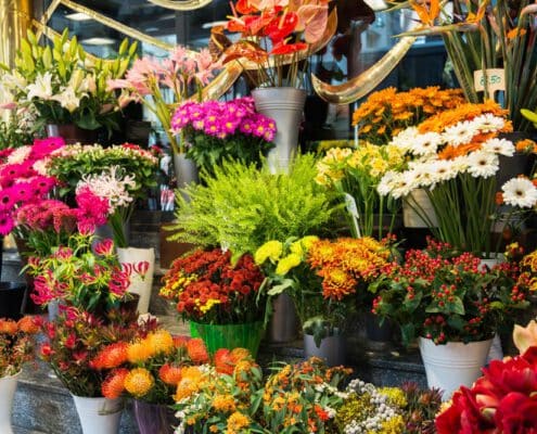 Expositor para floristería